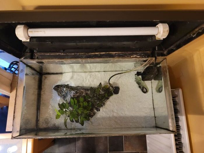 Aquarium with pump and plants