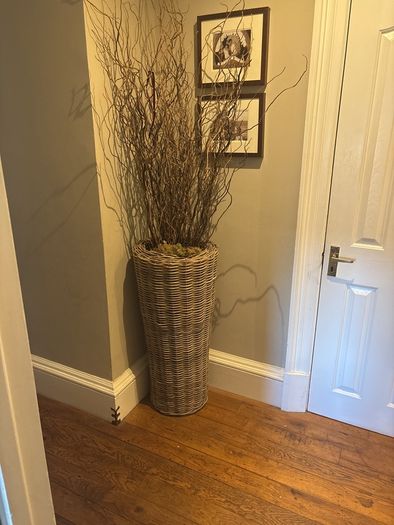 Very tall rattan planter with contorted willow