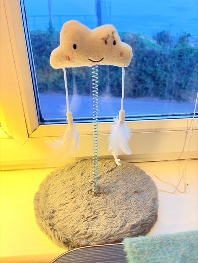 Cute cat toys