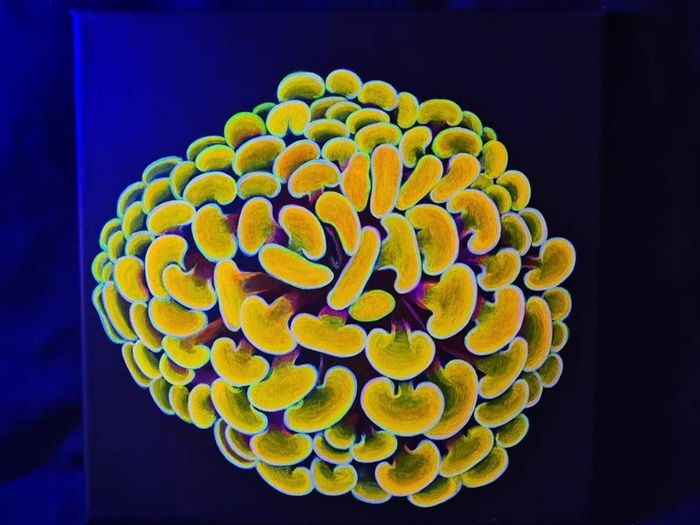 UV Blacklight Coral Reef Wall Art Painting