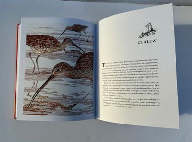 As kingfishers catch fire - book about birds
