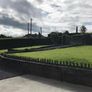 Box Hedging Image 9