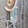 Consaw 100V Image 2