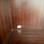 Large Mahogany Display Wall Unit Image 4