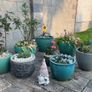 Medium Grey Earthenware Flower Pot- 2 available Image 4
