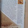 New Horizons Illustrated Ancient History Books Image 8