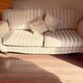 Sofa Image 2