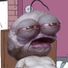 gerryd20