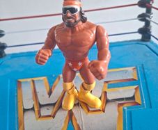 WWF hasbro Macho Man Randy Savage