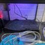 40l aquarium Image 2