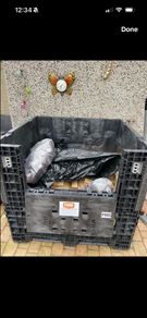 Large storage crate with lid