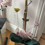Home decor Image 2