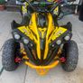 quad Image 2
