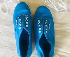 Vans trainers Brand New