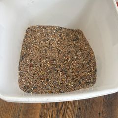 bird seed