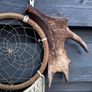 Sacred Antler Dream Catcher Portal with Pheasant Feathers, Olive Wood Spiral and Fig Tree Beads Image 2
