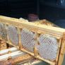 Summer 2026 Raw Honey Image 5