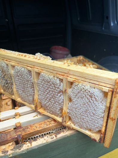 Summer 2026 Raw Honey