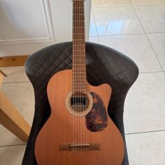 Juan Salbador Guitar