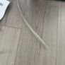 10L Dehumidifier Image 4