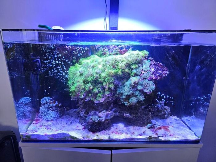 aqua one aquarium