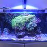 aqua one aquarium Image 6