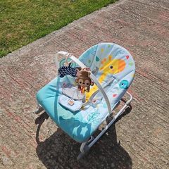 Bouncer Chair