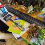 180L Juwel Aquarium Image 8