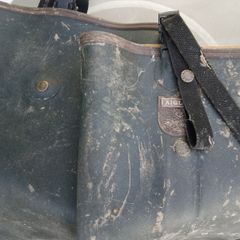 Aigle