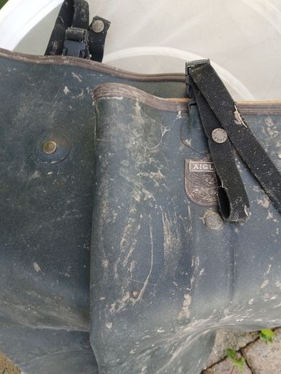 Aigle