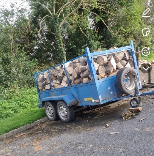 Firewood