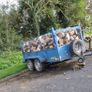 Firewood Image 2