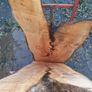 timber slabs Image 2