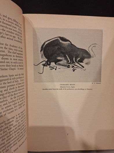 SALE!  THE OUTLINE OF ART edited by Sir William Orpen revised by Horace Shipp