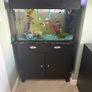 Fish Tank Image 2