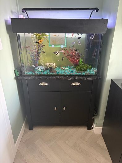 Fish Tank
