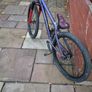 Dirt Bike NS Bikes Movement 1 Chameleon Image 6