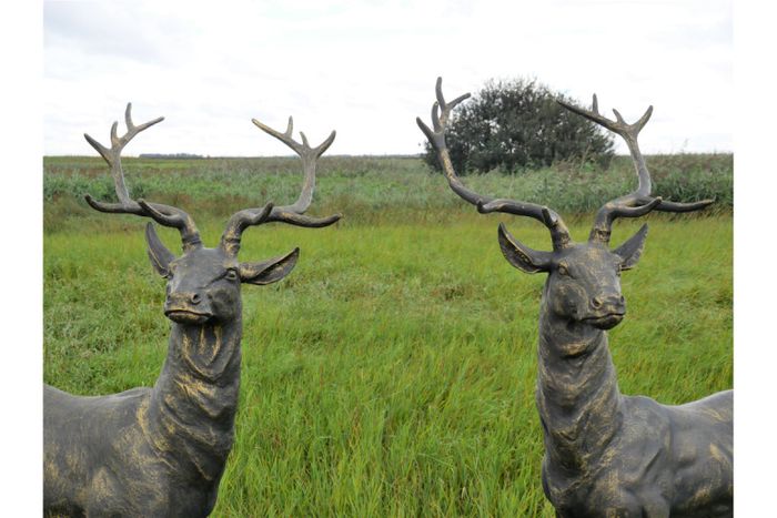 Pair of Standing Stags D7223