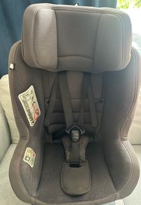Nuna Swivel Car Seat