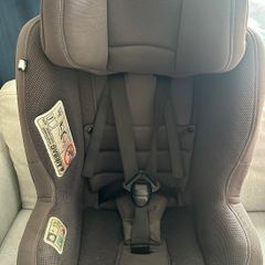 Nuna Swivel Car Seat