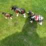 3 horse set Image 8