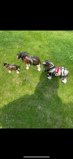 3 horse set