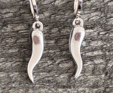 Silver Plated Earrings