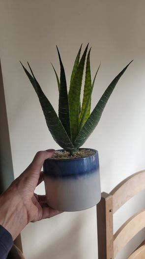 Artificial Plants in Ceramic, Glass, Stone & PVC Pots x8