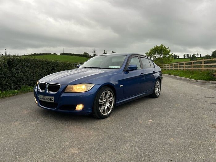 2010 316 Bmw