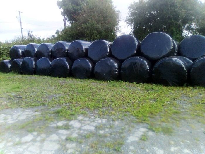 Bales silage100