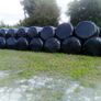 Bales silage100 Image 3