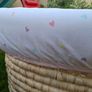 Moses basket barely used Image 4