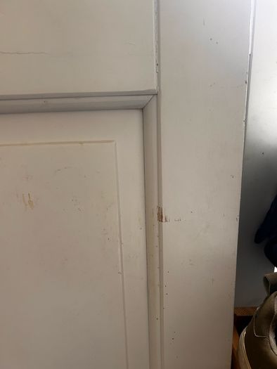 11 internal doors
