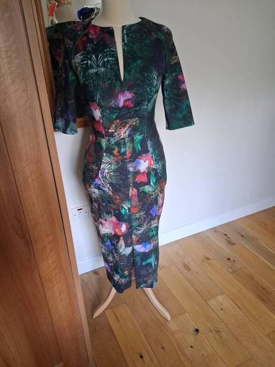 Stunning Ted Baker Dress Size 2 (UK 10-12)